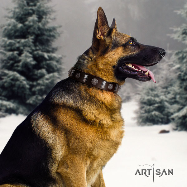 German Shepherd handmade full grain leather dog collar with stunning adornments