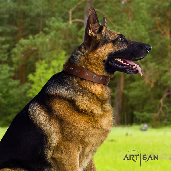German Shepherd adjustable full grain natural leather dog collar with inimitable decorations