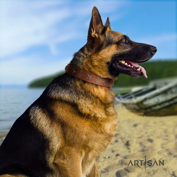 German Shepherd awesome natural genuine leather collar with adornments for your doggie