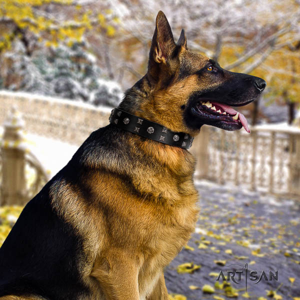 German Shepherd extraordinary full grain natural leather collar with embellishments for your doggie