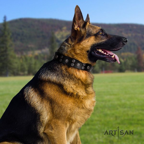 German Shepherd significant full grain leather collar with adornments for your doggie