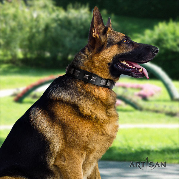 German Shepherd designer full grain genuine leather collar with embellishments for your dog