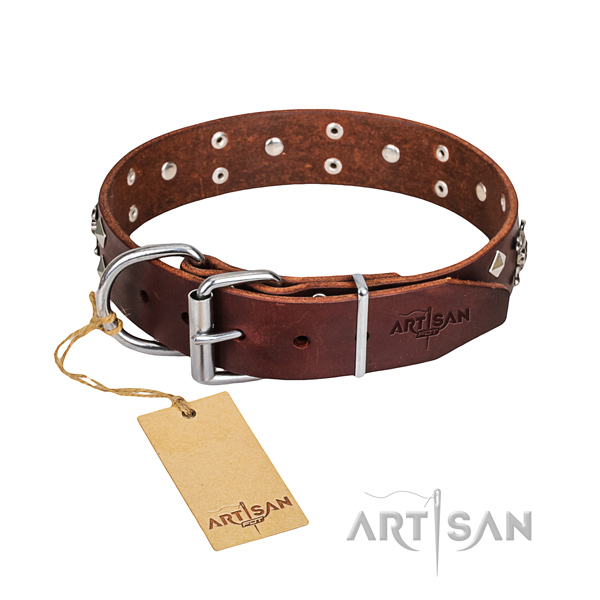 Resistant leather dog collar with chrome plated details