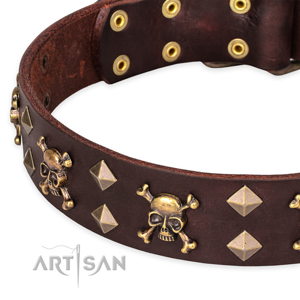 Everyday leather dog collar with elegant decorations