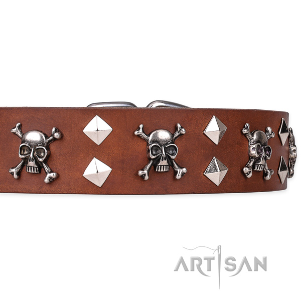 Day-to-day leather dog collar with sensational decorations
