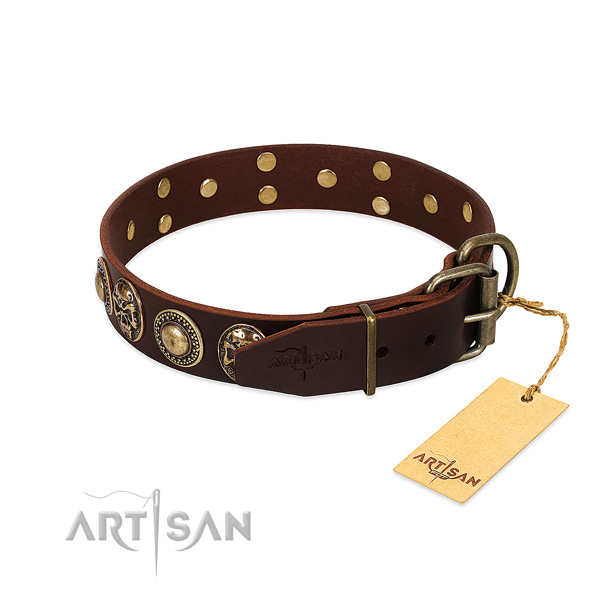 Everyday use leather collar with decorations for your canine