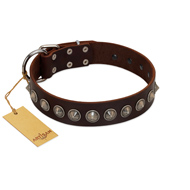 "Gothic Style" FDT Artisan Fancy Brown Leather German Shepherd Collar with Silver-Like Decorations  "Gothic Style" FDT Artisan Fancy Brown Leather German Shepherd Collar with Silver-Like Decorations