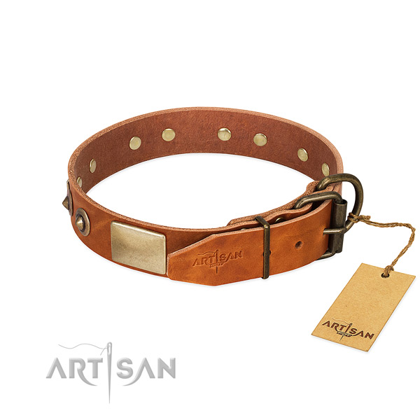 Rust resistant hardware on everyday walking dog collar