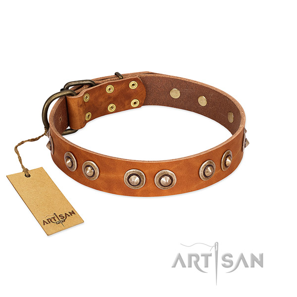 Reliable fittings on genuine leather dog collar for your dog