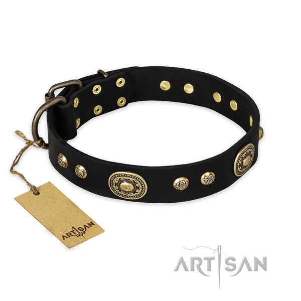 Stylish design genuine leather dog collar for everyday use