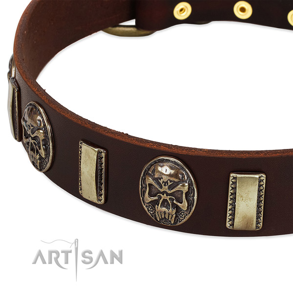 Corrosion resistant decorations on genuine leather dog collar for your four-legged friend