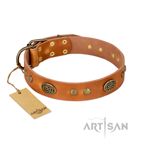 Rust resistant adornments on genuine leather dog collar for your canine