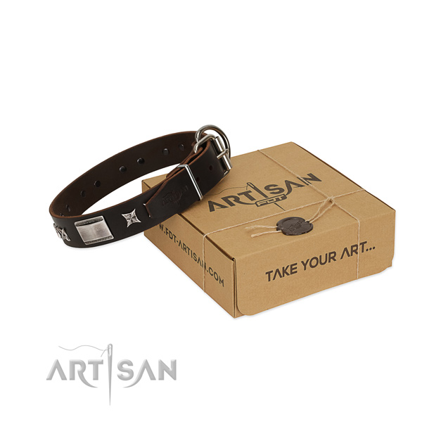 Exquisite collar of full grain natural leather for your lovely four-legged friend