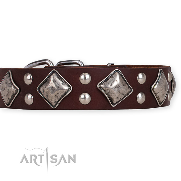 Full grain natural leather dog collar with awesome rust-proof adornments
