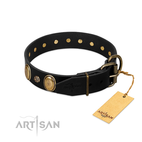 Stylish walking reliable leather dog collar
