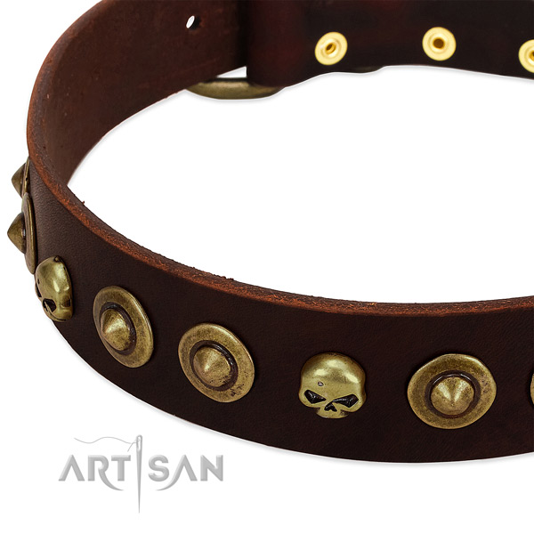 Extraordinary studs on leather collar for your doggie