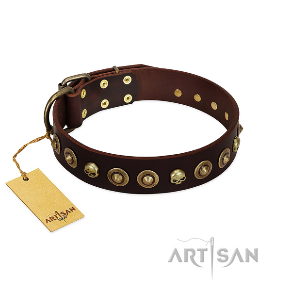 Full grain leather collar with fashionable studs for your dog