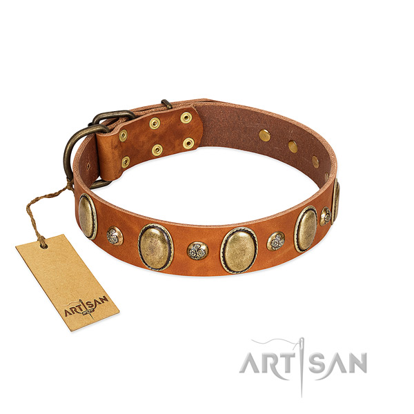 Genuine leather dog collar of top rate material with trendy adornments