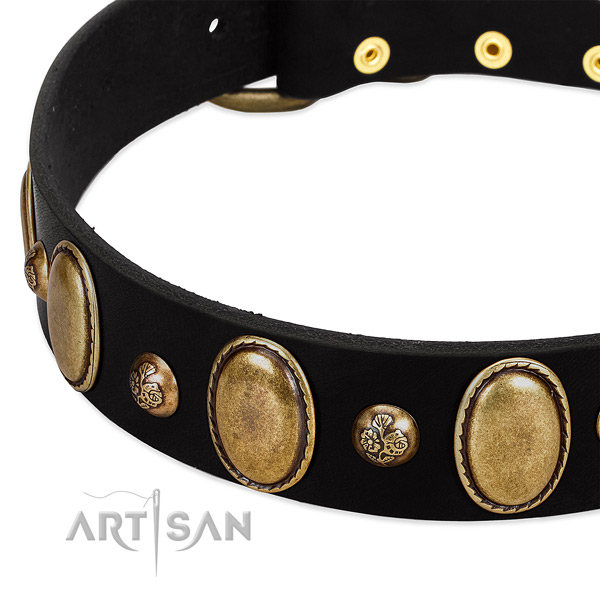 Full grain natural leather dog collar with awesome embellishments