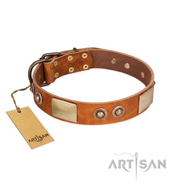 Adjustable leather dog collar for walking your pet