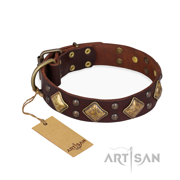 Easy wearing handcrafted dog collar with durable fittings