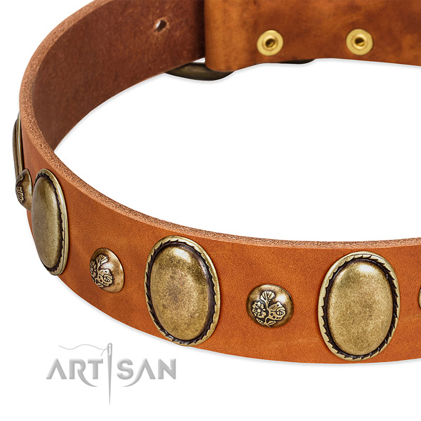 Genuine leather dog collar with awesome decorations