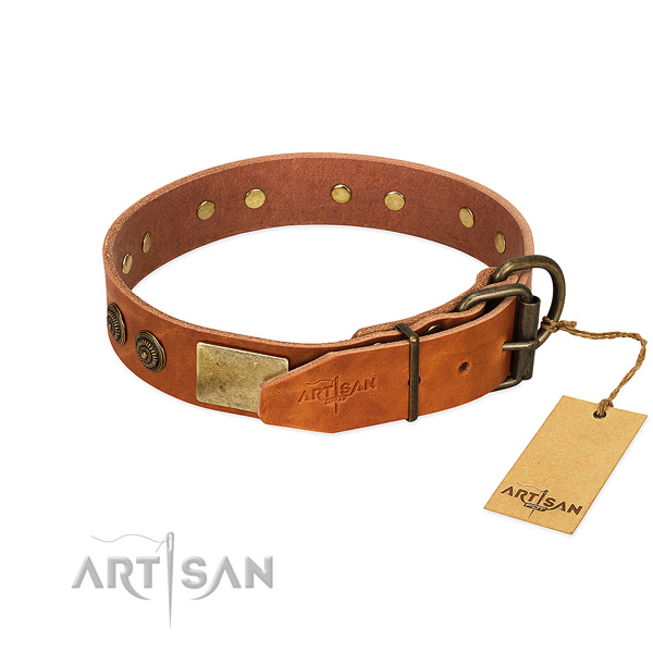 Corrosion proof traditional buckle on full grain natural leather collar for everyday walking your dog