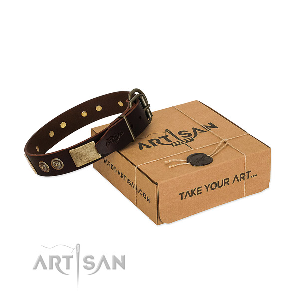 Durable adornments on leather dog collar for your canine
