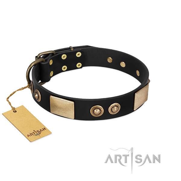 Easy adjustable full grain leather dog collar for basic training your pet