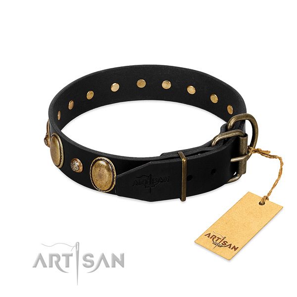 Reliable fittings on genuine leather collar for walking your doggie