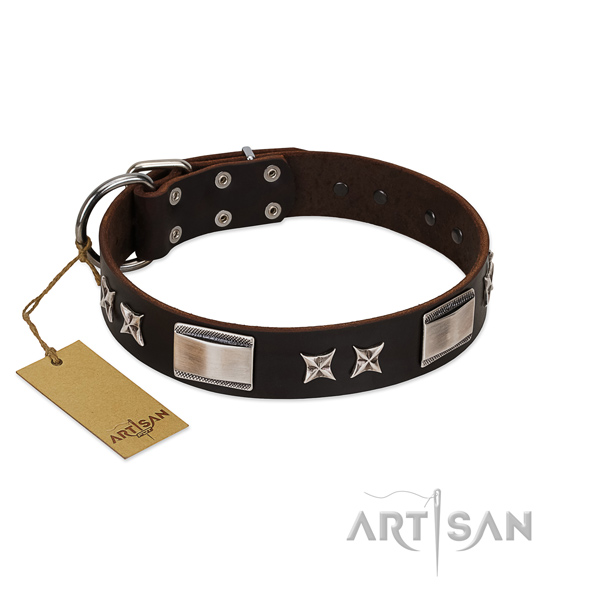 Exceptional dog collar of leather