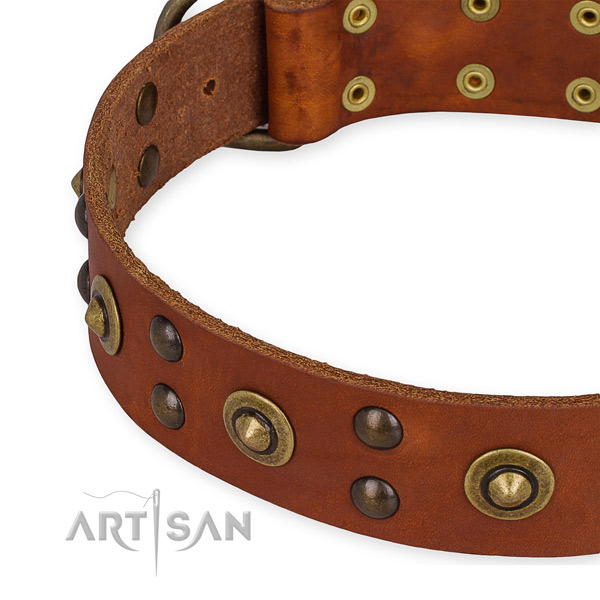 Full grain natural leather collar with corrosion proof hardware for your impressive four-legged friend
