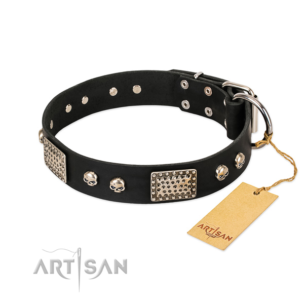 Adjustable leather dog collar for daily walking your canine
