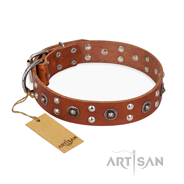 Walking stylish design dog collar with rust resistant hardware