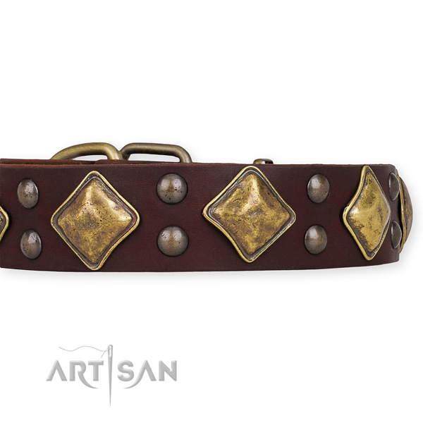 Full grain leather collar with durable D-ring for your beautiful four-legged friend