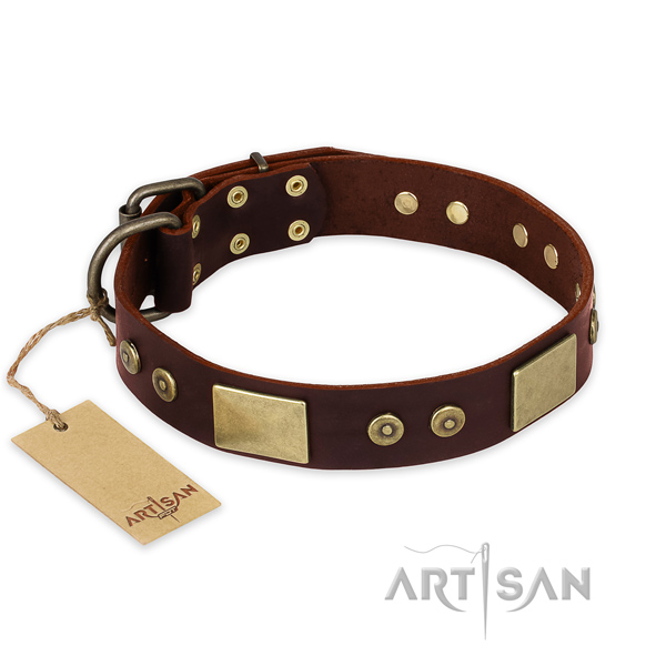 Incredible full grain leather dog collar for everyday walking