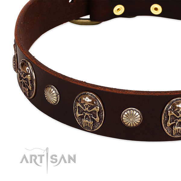 Genuine leather dog collar with studs for comfy wearing