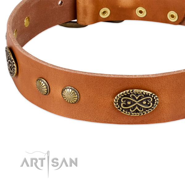 Rust-proof decorations on Genuine leather dog collar for your doggie