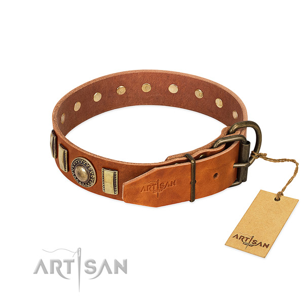 Perfect fit leather dog collar with rust resistant D-ring