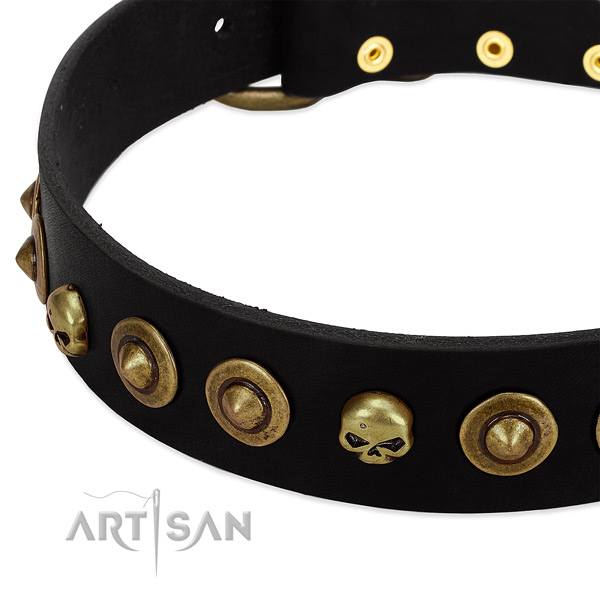 Full grain genuine leather dog collar with unusual adornments