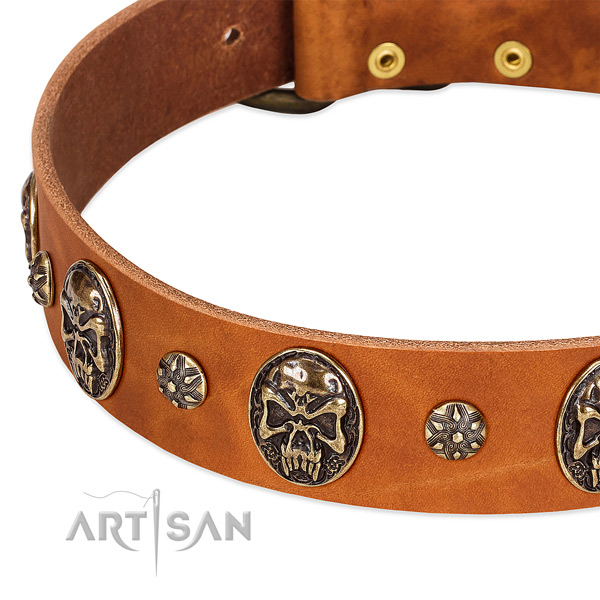 Rust-proof adornments on natural genuine leather dog collar for your canine