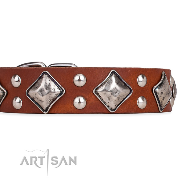 Leather dog collar with top notch durable adornments