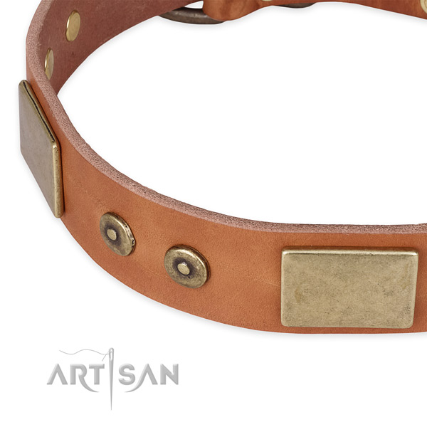 Rust resistant traditional buckle on full grain natural leather dog collar for your pet