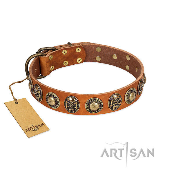 Easy to adjust full grain natural leather dog collar for basic training your pet
