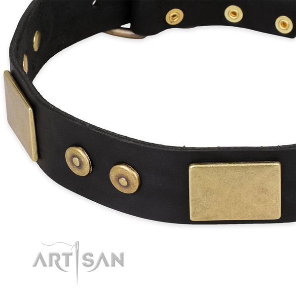 Strong studs on leather dog collar for your doggie