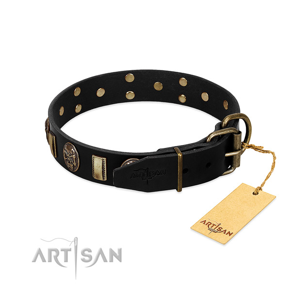 Full grain leather dog collar with corrosion resistant D-ring and studs