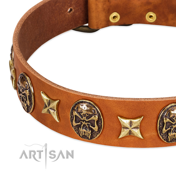 Rust-proof decorations on natural genuine leather dog collar for your pet