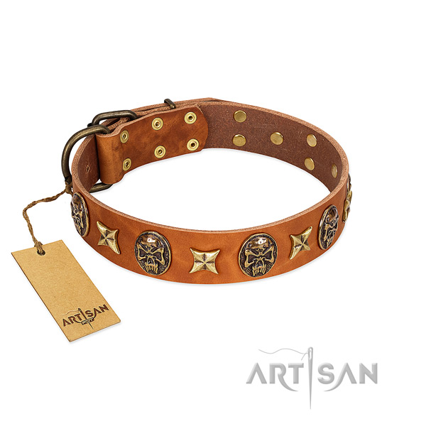 Perfect fit leather collar for your four-legged friend