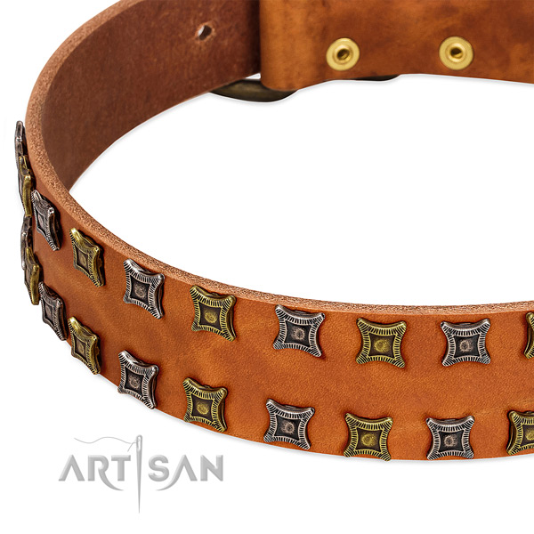 Durable genuine leather dog collar for your handsome four-legged friend