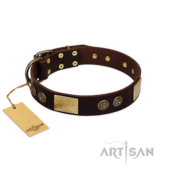 Strong embellishments on genuine leather dog collar for your pet